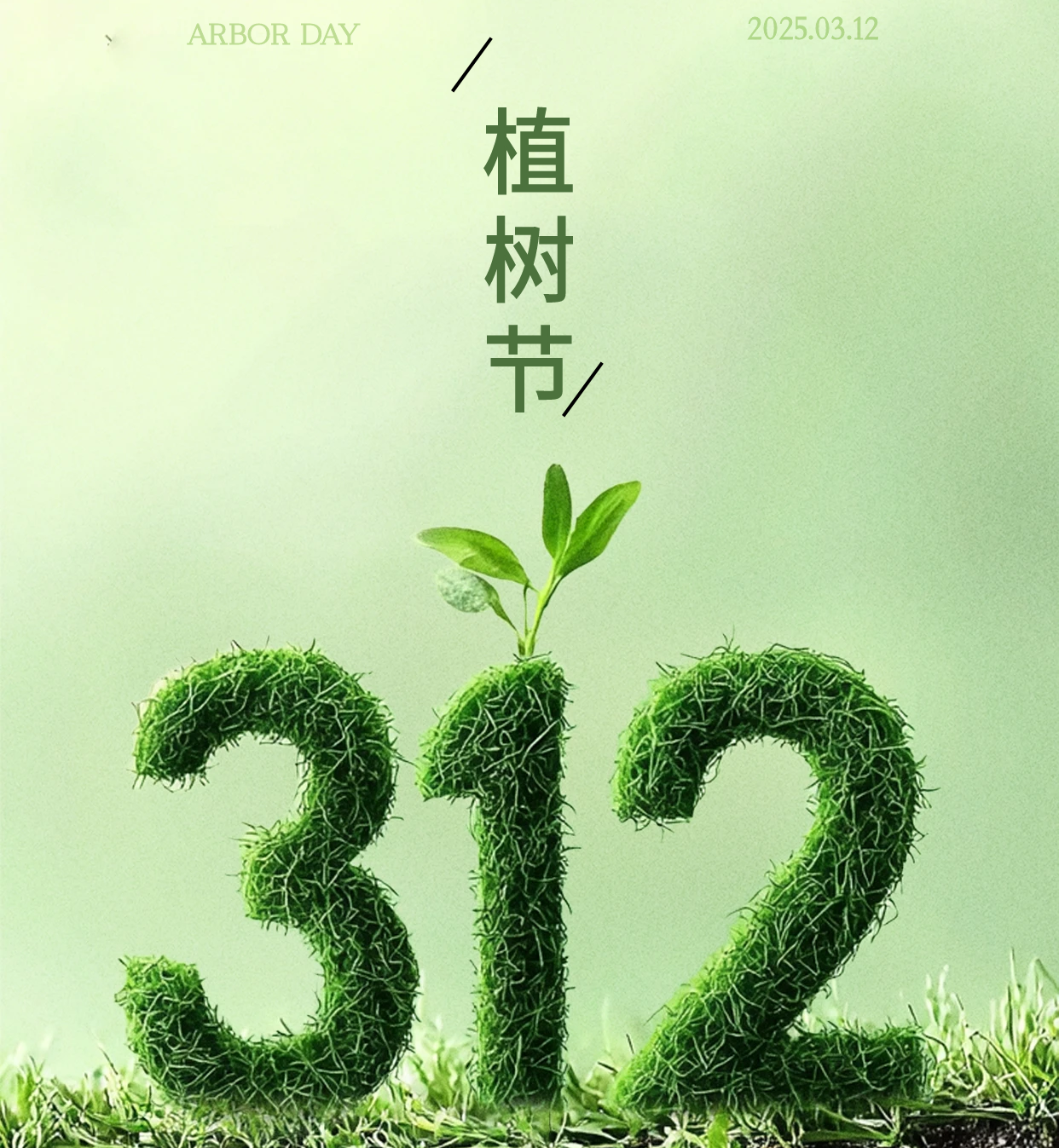 2503131.png