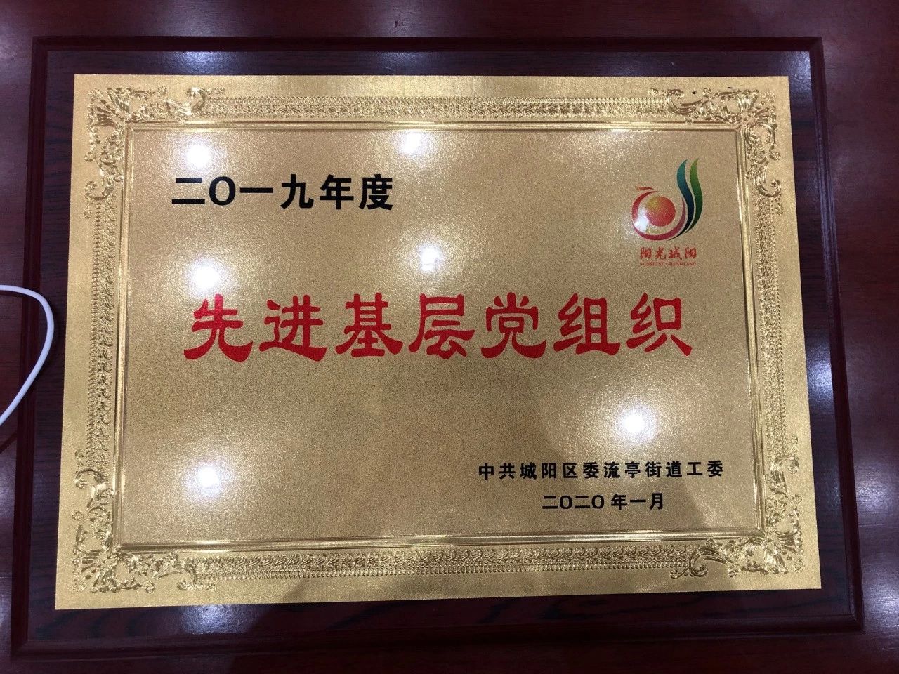 山東綠天使投資集團黨支部連續三年蟬聯“先進基層黨組織”榮譽稱號